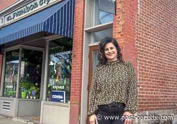 As sites crash and loan funds empty out, the region's small business owners scramble for help to save their enterprises
