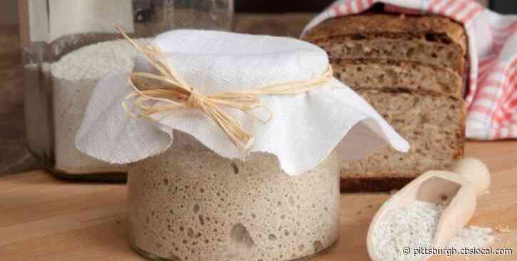 Quarantine Baking: How To Make Your Own Sourdough Starter