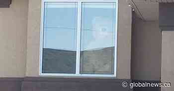 Warman, Sask. residents celebrate Easter differently amid coronavirus pandemic