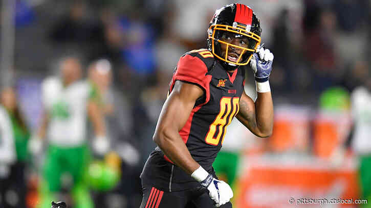 Pittsburgh Steelers Sign Free Agent WR Saeed Blacknall