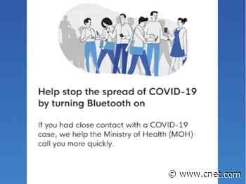 Director behind Singapore's contact tracing app says tech isn't the solution to COVID-19     - CNET