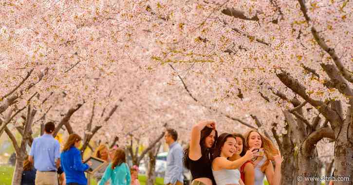 At Utah’s Capitol, hundreds gather on Easter weekend, despite social-distancing guidelines