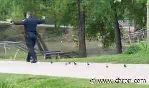 Adorable video shows Houston Police 'escorting' ducklings to safety in Memorial Park