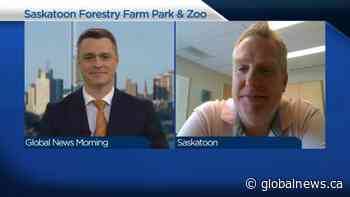 The Saskatoon Forestry Farm and Zoo’s new manager Jeff Mitchell