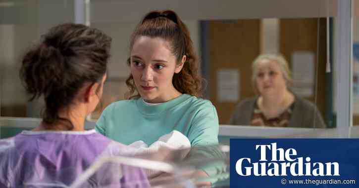 Mum's net: how surrogacy thriller The Nest got us hooked