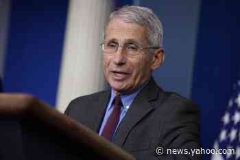 Health officials caution against talk of quickly reopening businesses