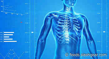 DARPA seeks an implantable ‘travel adapter’ for soldiers’ bodies
