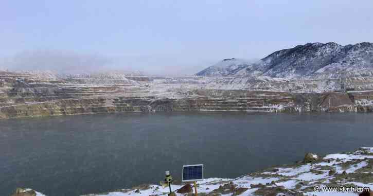 A Montana bird watcher keeping birds out of a toxic mine pit is deemed ‘essential’ during coronavirus pandemic
