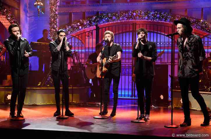 Which One Direction Member Would You Want to Quarantine With? Vote!