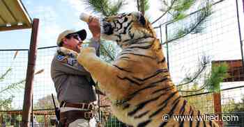 The Big Cats of 'Tiger King' Will Live and Die in a Cage