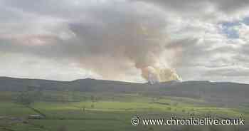 Firefighters spend over five hours tackling 100-hectare blaze in Northumberland
