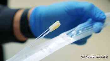 Ebola drug can infiltrate, trick coronavirus from the inside, Alberta study suggests