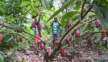 El Chocó tiene gran potencial agrícola pero necesita apoyo - Caracol Radio