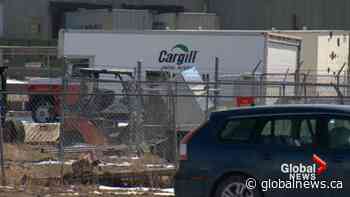 Southern Alberta meat plant makes changes amid COVID-19 outbreak