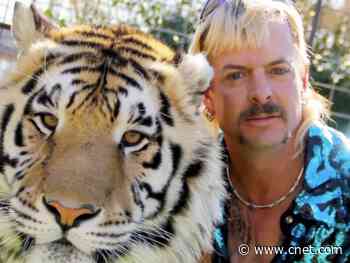 Joe Exotic's Tiger King songs are now on Spotify     - CNET