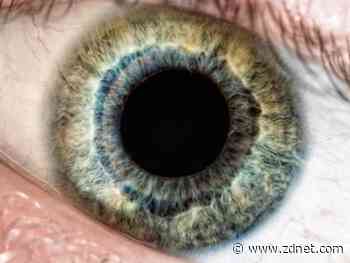 Google releases TalkBack braille keyboard on Android