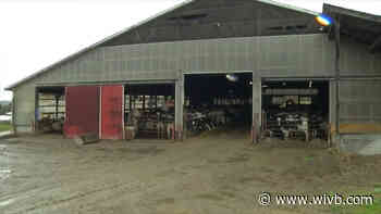 How the COVID crisis is impacting the dairy industry