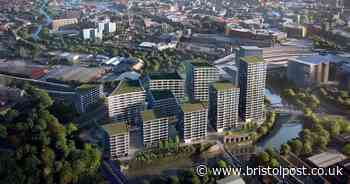 Arena Island would have been cancelled due to coronavirus