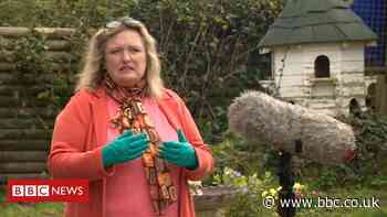 Coronovirus: Baby deaths charity relaunches to help in pandemic