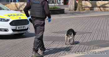 Bristol cases to continue rising for at least two weeks