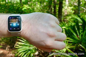 Views from a socially distant walk in the woods — podcasts and photo walks