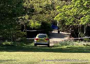 Body of a man in his 70s found in Cannizaro Park