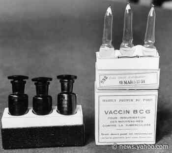 Could old vaccines for other germs protect against COVID-19?
