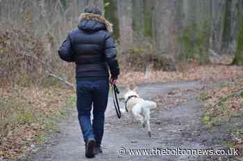 How long should I walk my dog for? Your questions answered