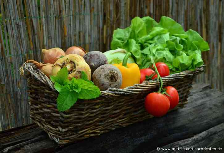Heimischer Garten – Was ist erlaubt?