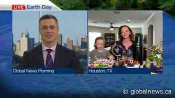 Family fun earth day activities to get the family into the spring feeling