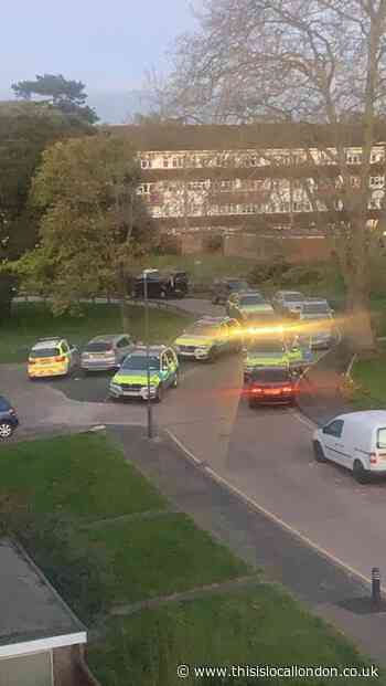 Armed police arrest two men found fighting with machete and pole in Sidcup