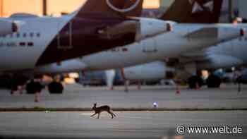 Was Ökonomen jetzt fordern, um die Wirtschaft zu retten