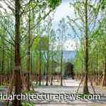 2020 WAN Awards entry: Chongquin Forest Park - A&N Shangyuan Landscape Design