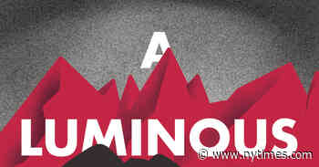 A Town Is Besieged by Children, Foreign and Violent