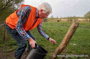 Emmers vol met padden naar andere kant van de weg