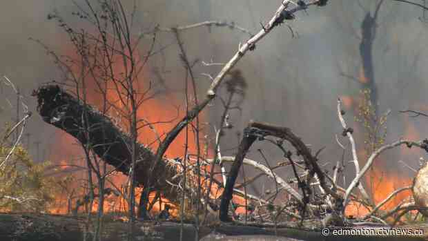 Province to outline plans to reduce wildfires during the pandemic