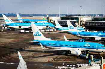 Op reis? 6 op de 10 Nederlanders heeft zijn zomervakantie in de ijskast gezet