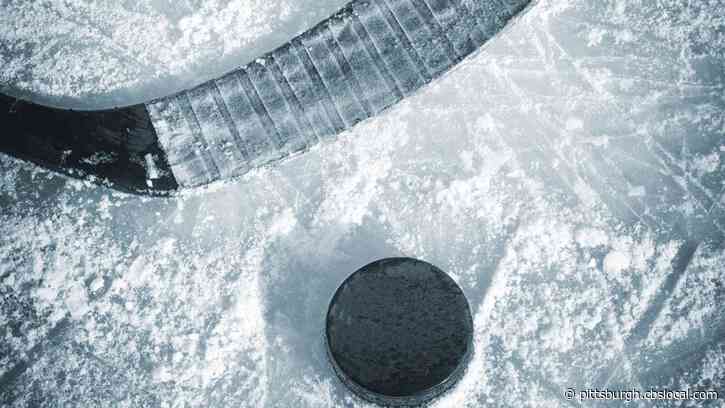 Coronavirus Changes: NHL Extends Self-Quarantine Recommendation Through End Of April