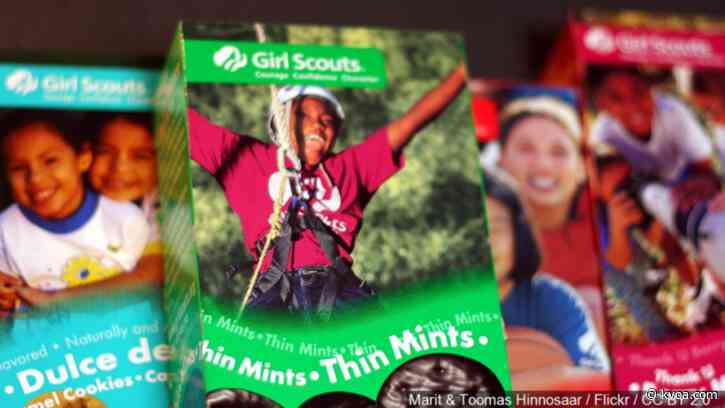 Girl Scouts donate cookies to local hospital frontline workers