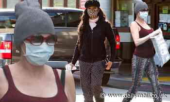 Brandi Glanville and Garcelle Beauvais step out separately wearing face masks in LA