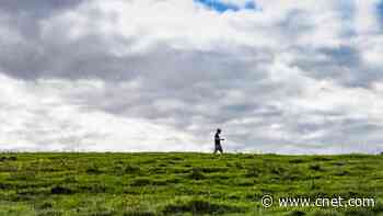 Some social distancing may be needed into 2022, Harvard study says     - CNET