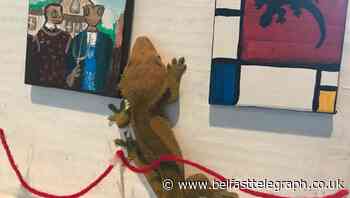 Gecko owner creates tiny art gallery for her pet
