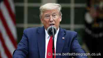 Trump halts US payments to WHO over coronavirus warnings