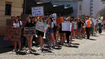 Wieder Klima-Demo am Freitag in Mindelheim - Augsburger Allgemeine