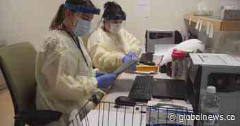 Coronavirus: Alberta government asks non-AHS staff needing PPE to request via email