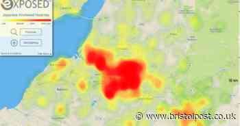 Why Bristol is a UK hotspot for Japanese knotweed - Bristol Post