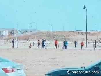 18 charged in Brampton for playing cricket, breaking social distancing bylaw - Toronto Sun