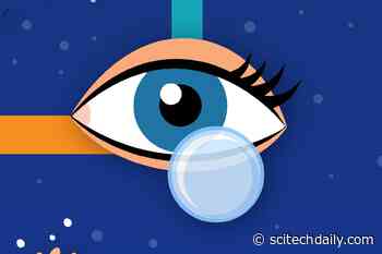 Do You Wear Contacts or Glasses? Here’s What Ocular Scientists Advise During COVID-19 Pandemic