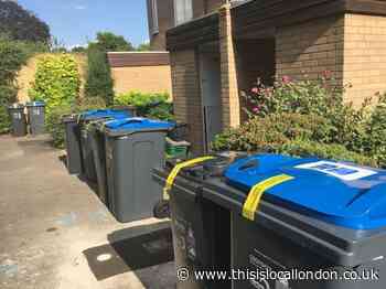 'Bear with us': Croydon residents warned of potential delays in bin collection