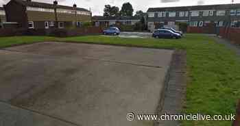 Sledgehammer-wielding burglary suspects arrested after police chase